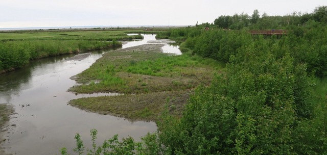 Anchorage Coastal Wildlife Refuge