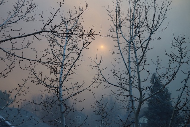 コロラド ボルダーカウンティ大火災Marshall Fire