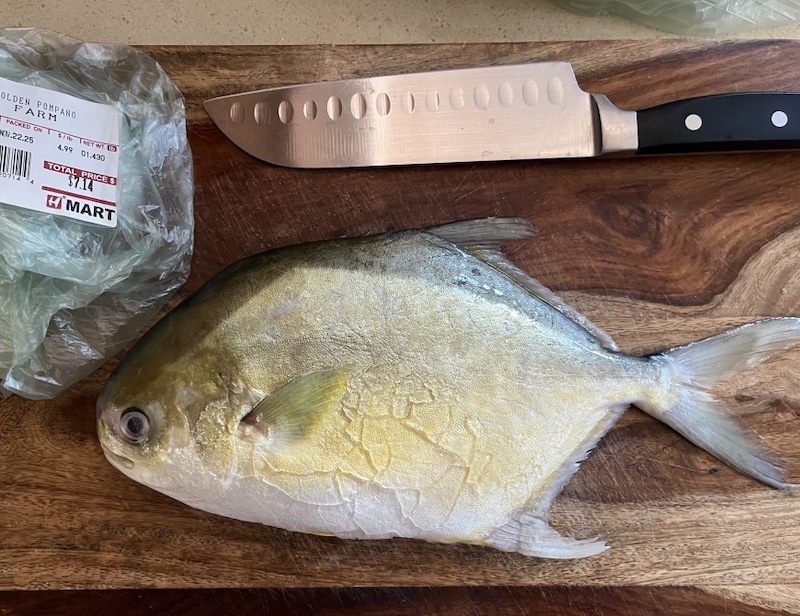 Golden Pompano ポンパノ マルコバン