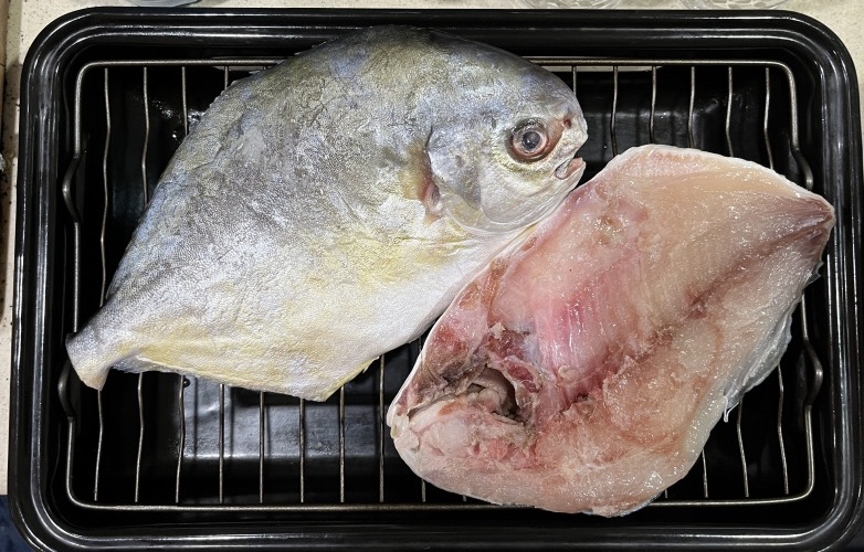 Golden Pompano ポンパノ マルコバン