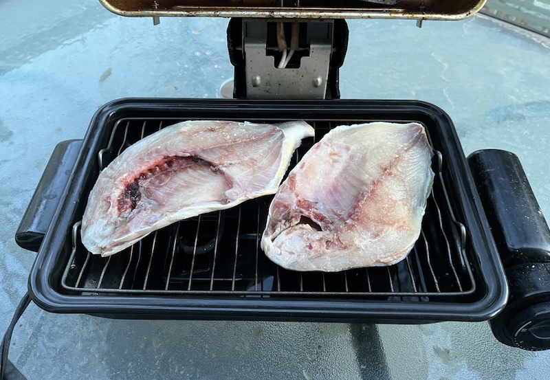 Golden Pompano ポンパノ マルコバン