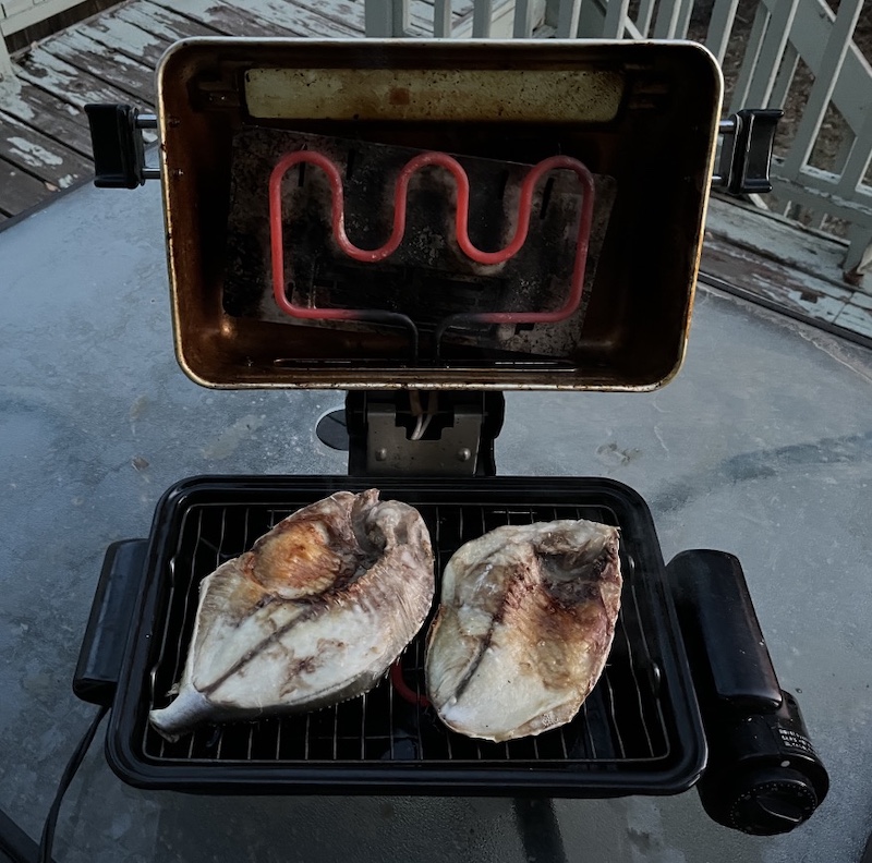 Golden Pompano ポンパノ マルコバン