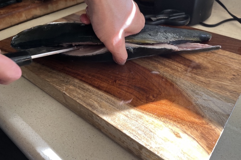 Amberjack Yellowtail, H Mart, USA