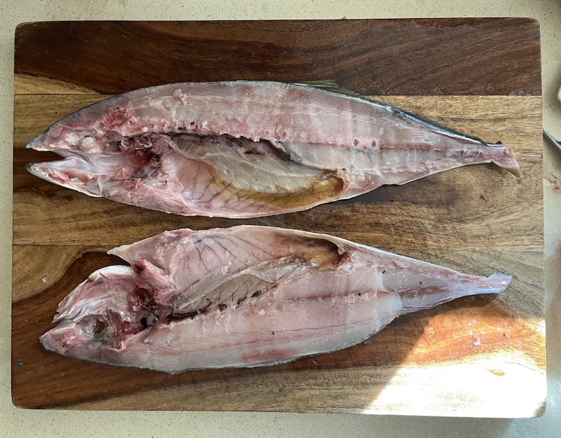 Amberjack Yellowtail, H Mart, USA