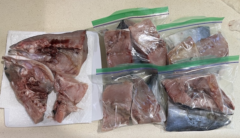 Amberjack Yellowtail, H Mart, USA