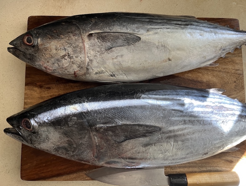 Bonito カツオ, H Mart, USA