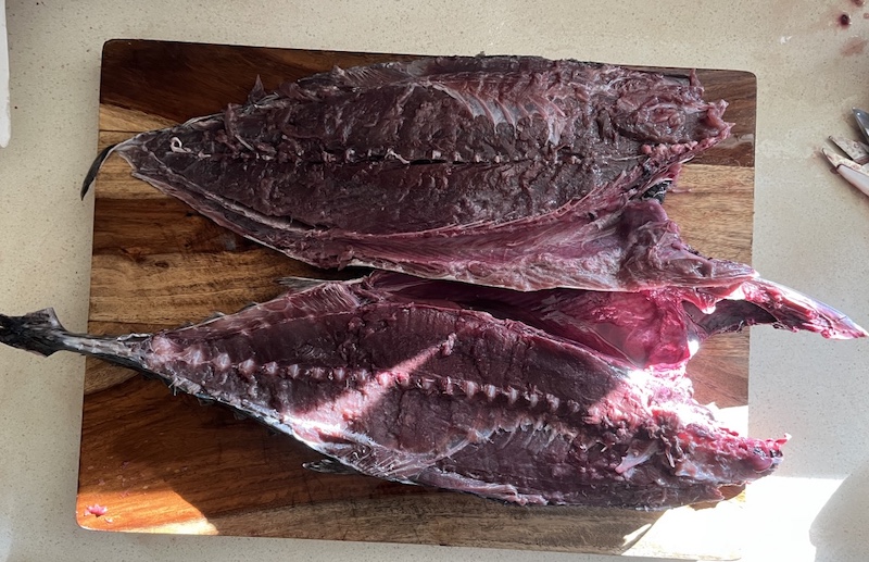 Bonito カツオ, H Mart, USA