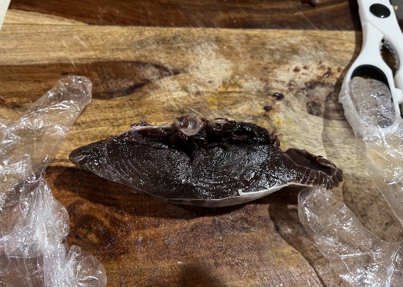 Bonito カツオ, H Mart, USA