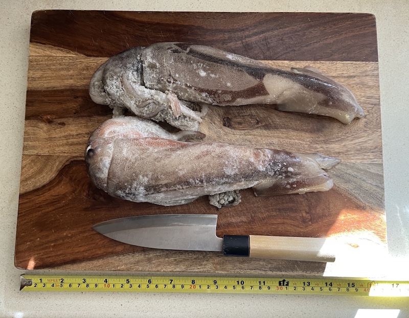 Squid イカ, H Mart, USA