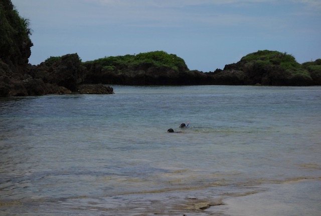 西表島