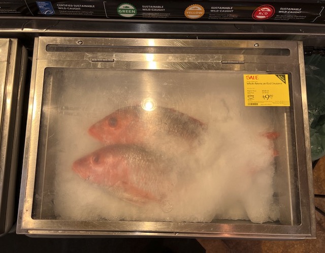 アメリカのスーパーの魚 Red snapper