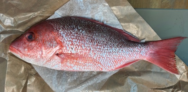 アメリカのスーパーの魚 Redsnapper