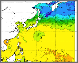 SST 海面温度 と台風