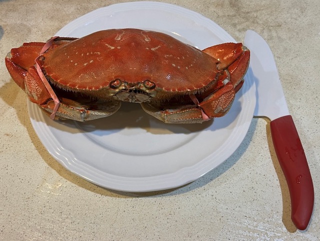 Dungeness crab　アメリカの食用カニ