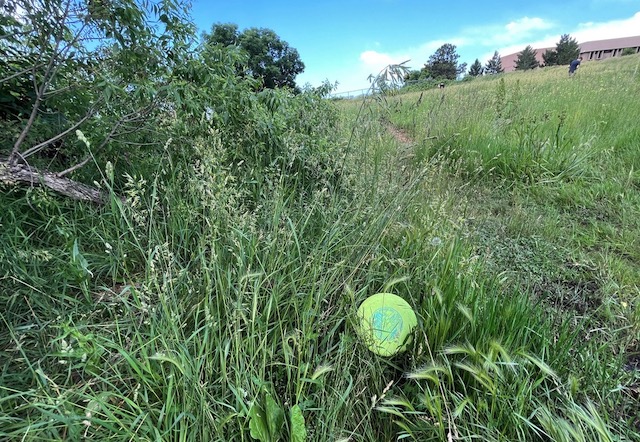 Disc Golf @ Harlow Platts Park コロラド州ボルダー