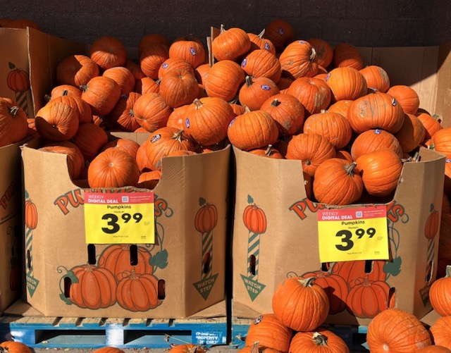 ハロウィン用のかぼちゃの販売　アメリカのスーパー