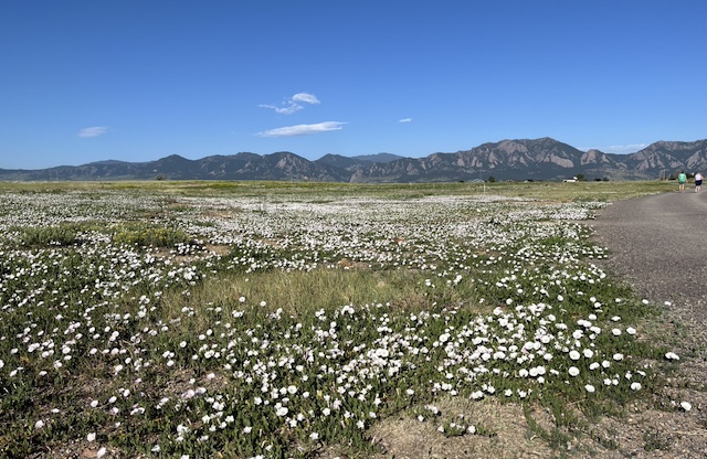 Boulder Flatirons 山