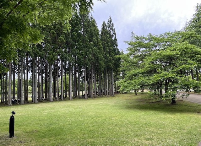 AIU 国際教養大学 秋田