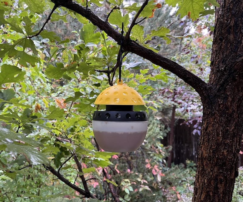 蜂の巣駆除 Yellowjacket スズメバチ Spectracide Wasp, Hornet & Yellowjacket Trap