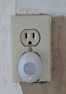 害虫 害獣 ネズミ対策 Pest Control